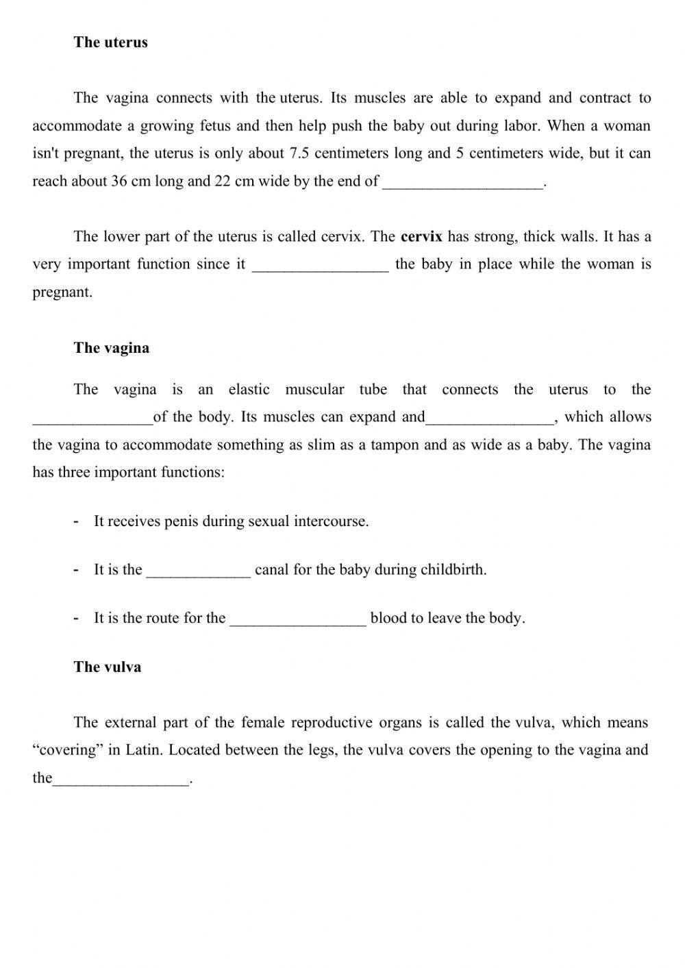 Female reproductive system Female reproductive system