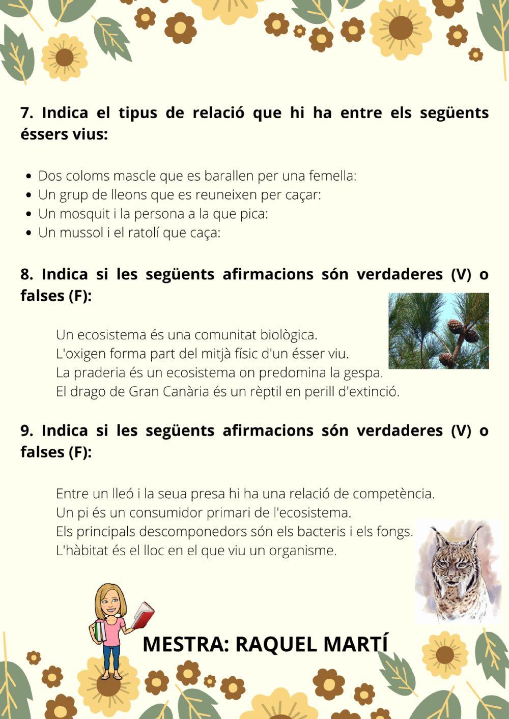 REPASSEM EL 2n TRIMESTRE