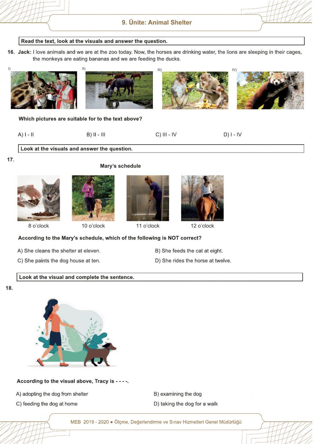 5.9 Animal Shelter - MEB Beceri temelli sorular