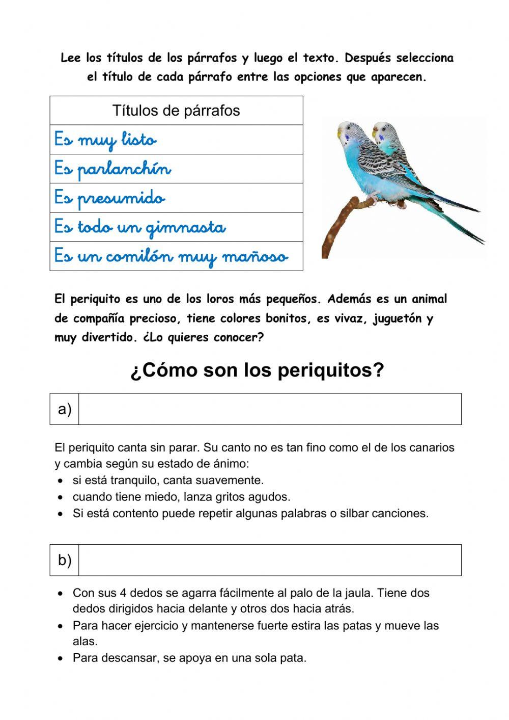 ¿Como son los periquitos? ¿Como son los periquitos?