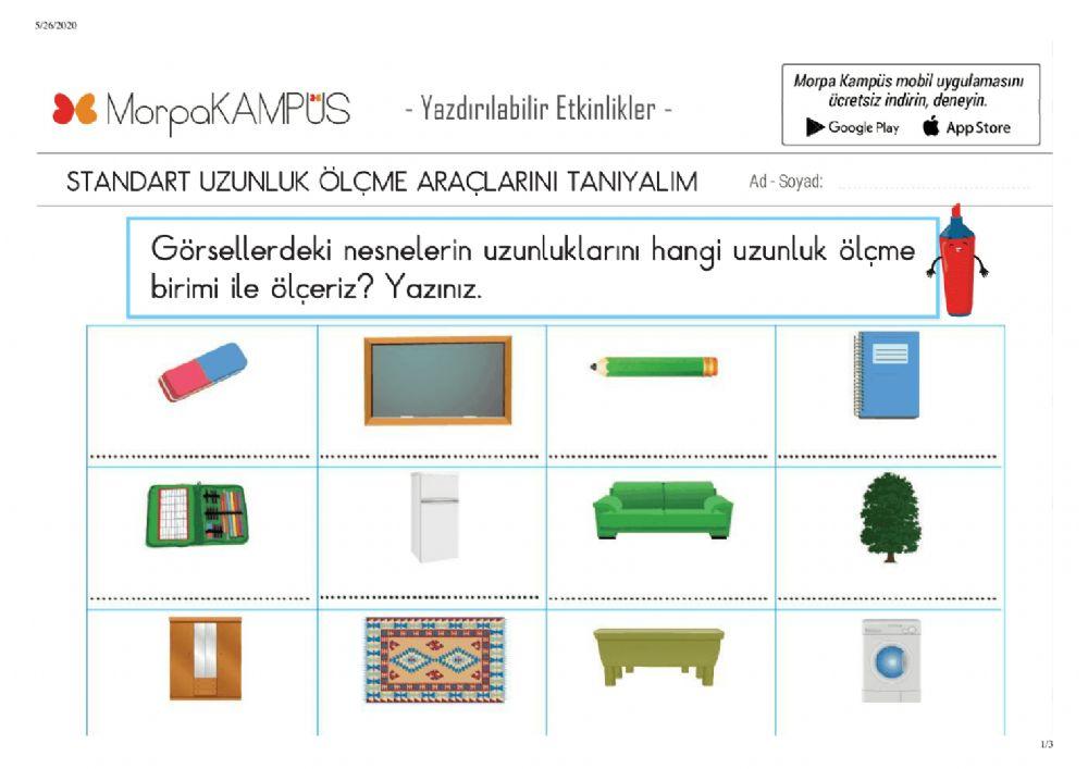 Metre Santimetre 5738727 | Elif Bingol Karsli | Live