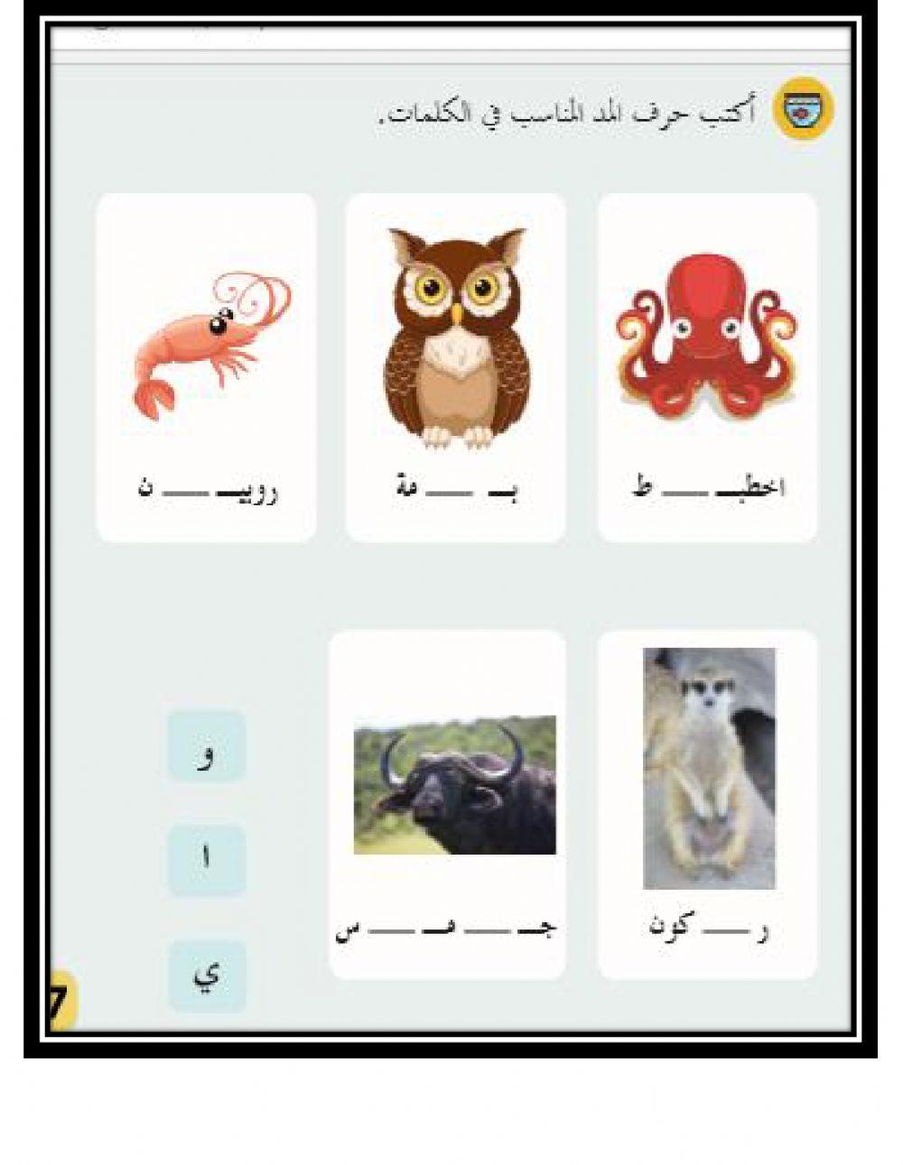 أكتب حرف المد المناسب في الكلمات