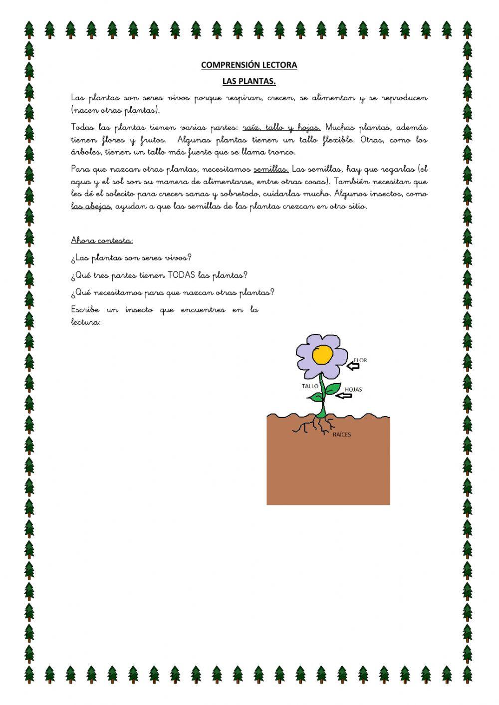 Compresion lectora las partes de la planta