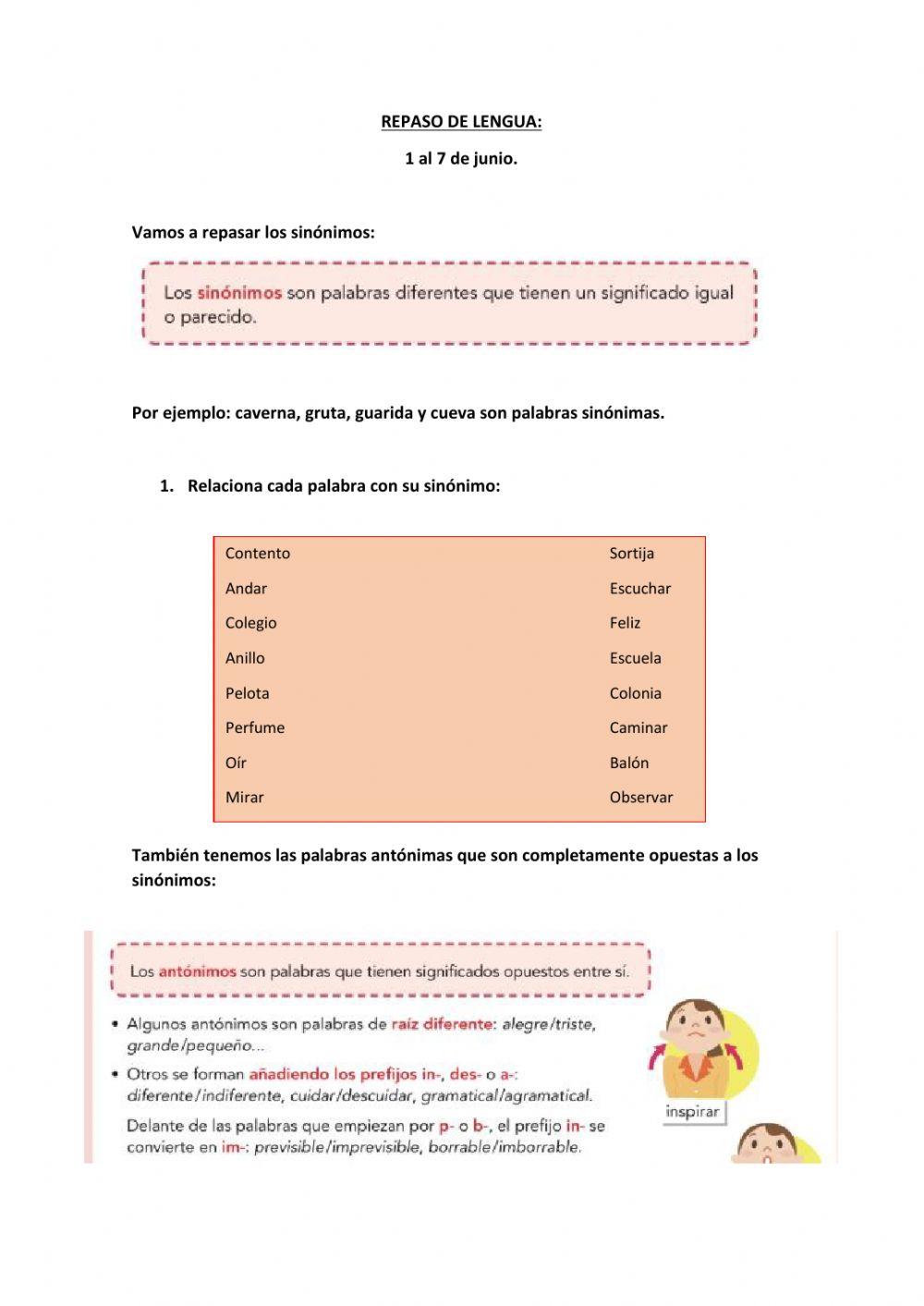 Sinonimos y antonimos