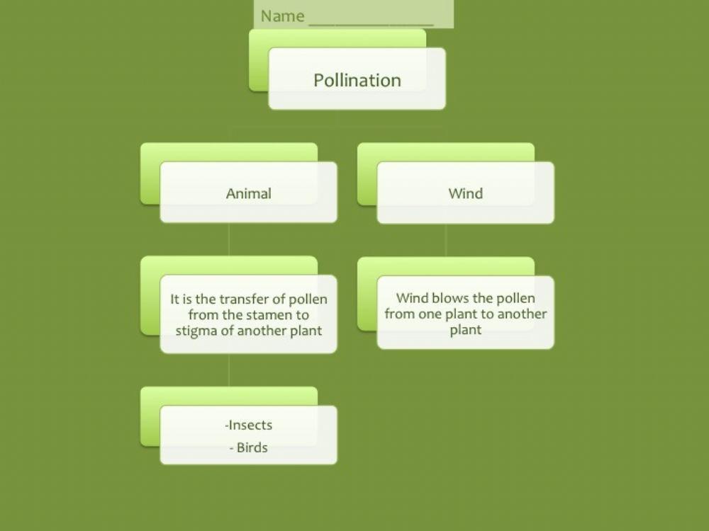 Unit 4 Pollination Scheme