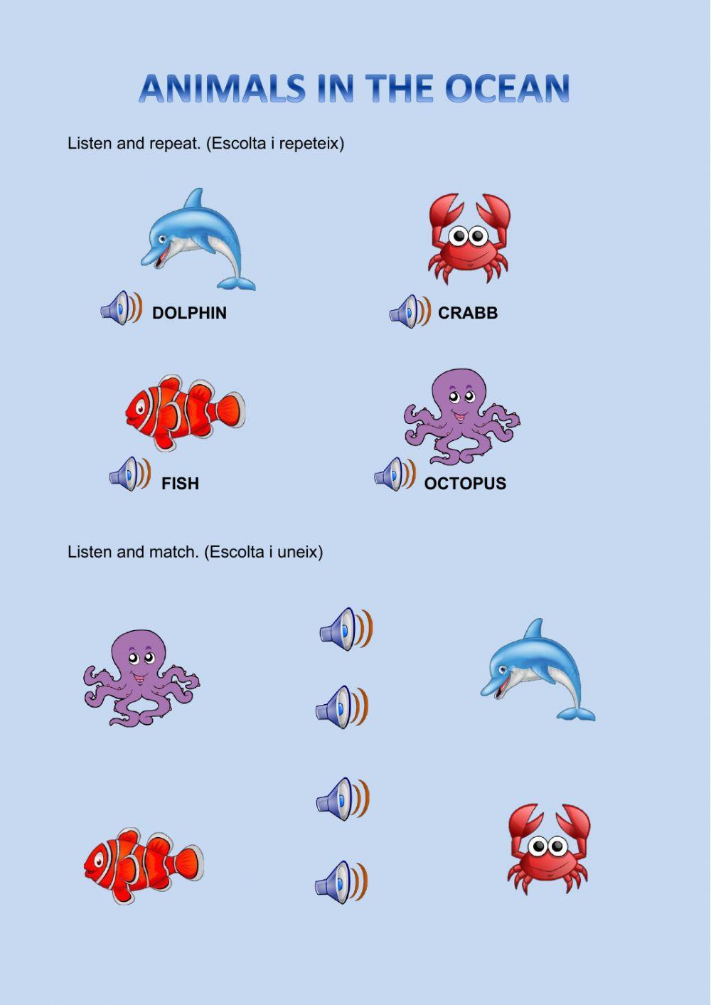 Animals in the ocean