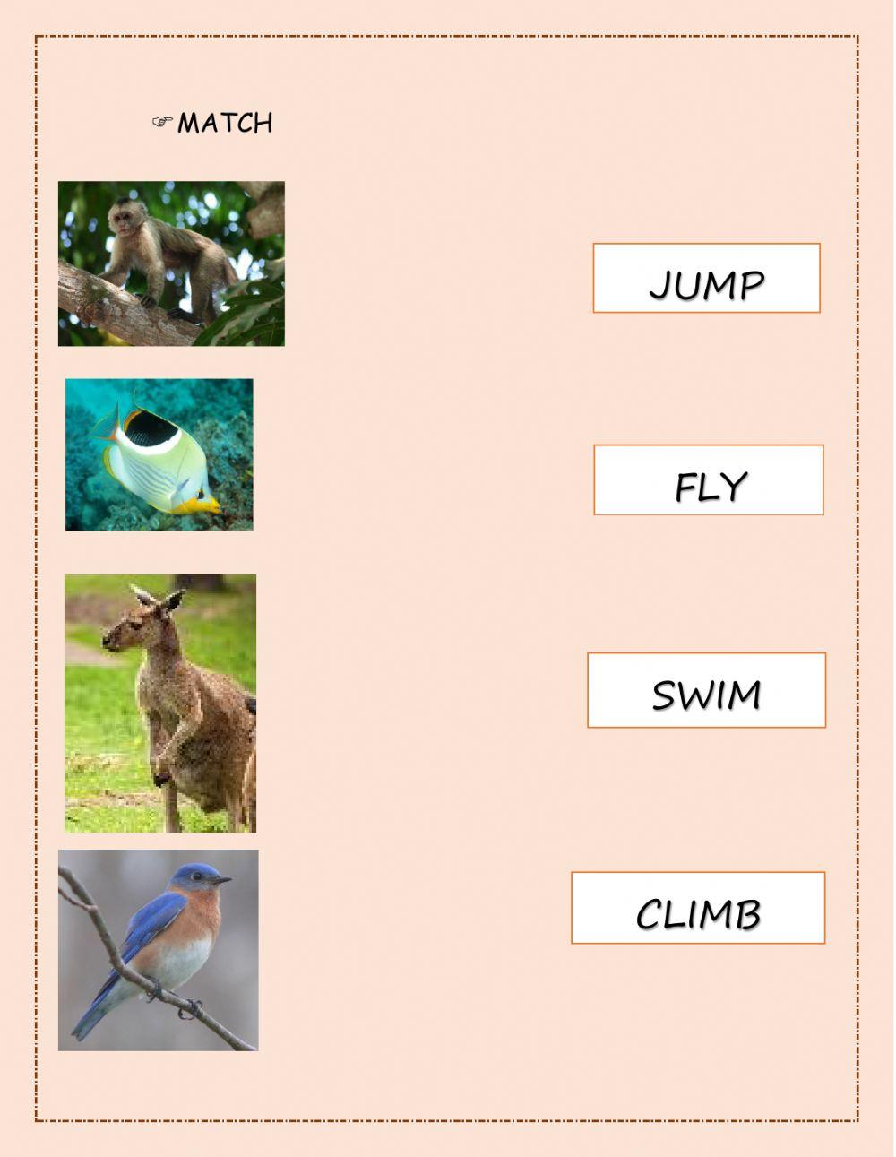 Animals and verbs