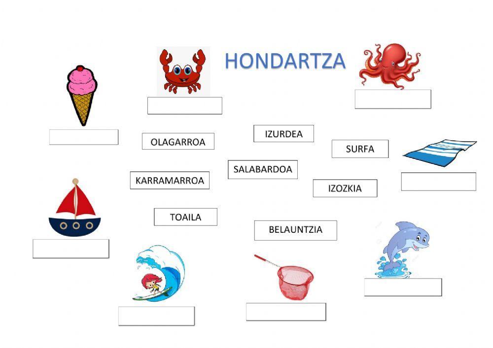 HONDARTZA, LOTU IZENA-IRUDIA