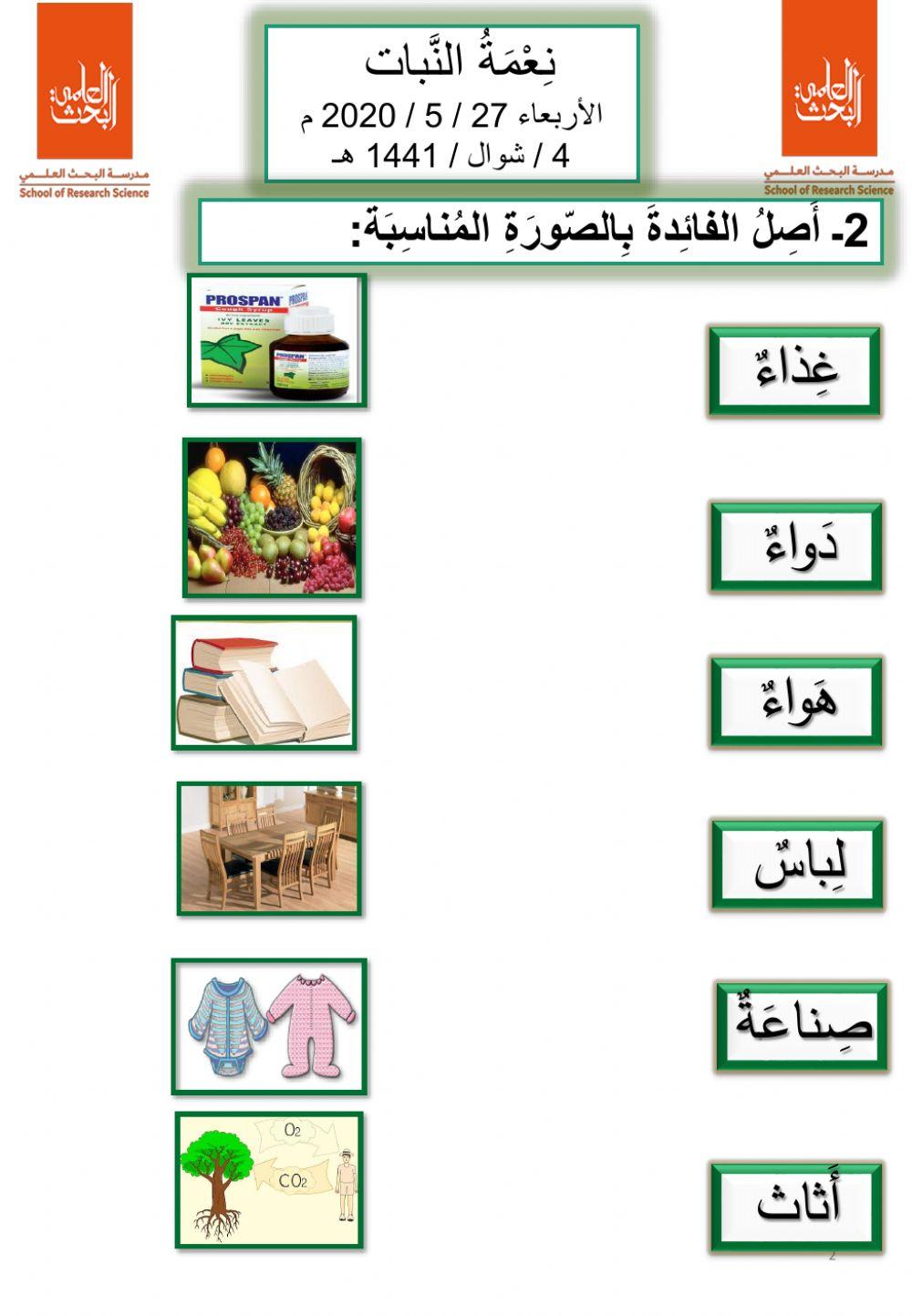 نعمة النبات