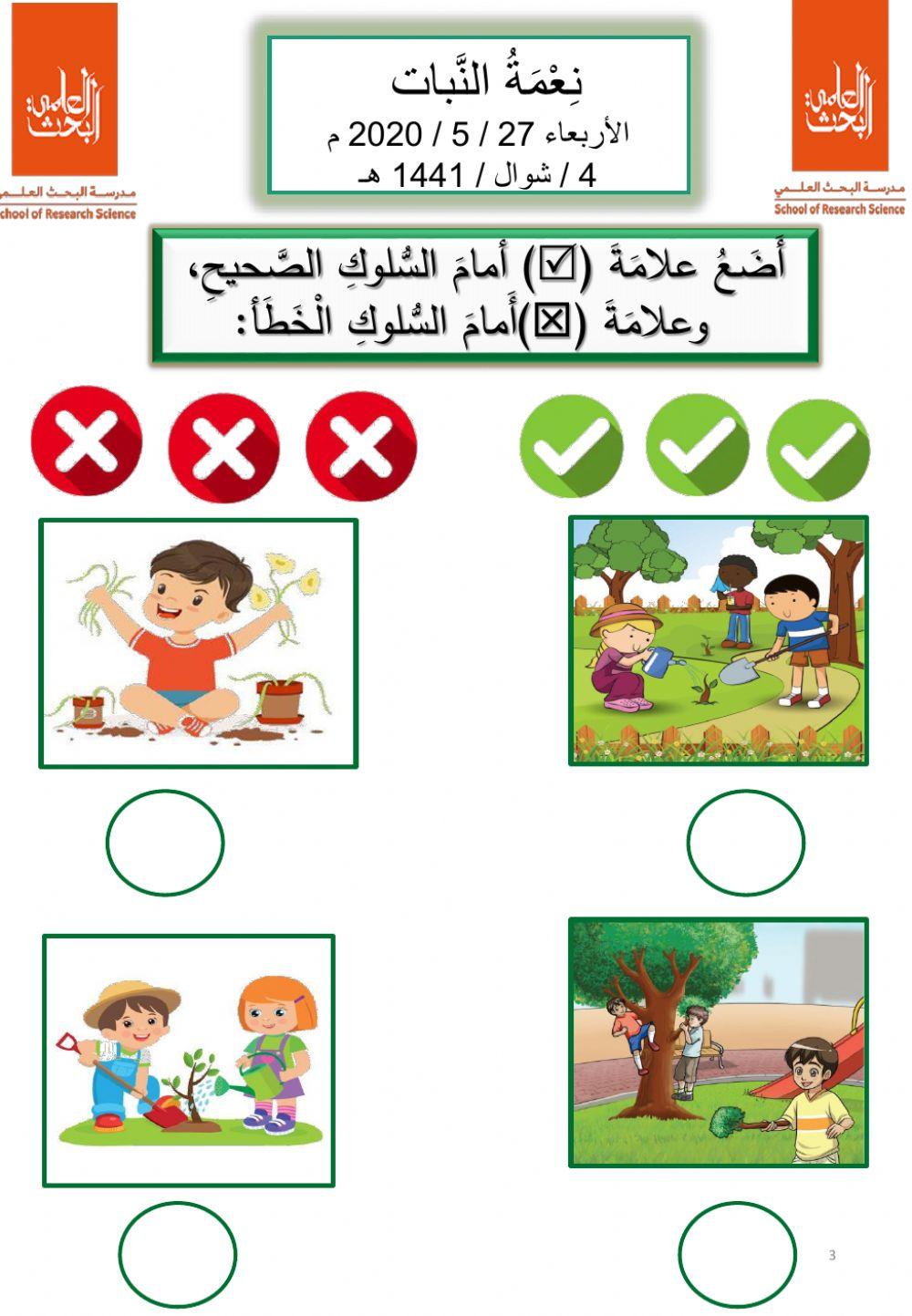 نعمة النبات