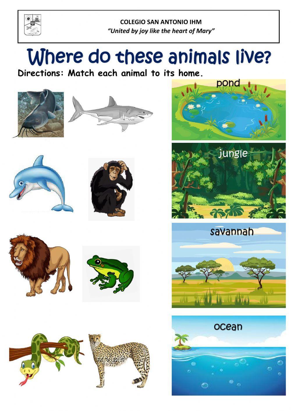 Animal Homes Animal Homes