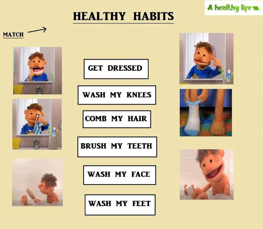 Healthy Habits