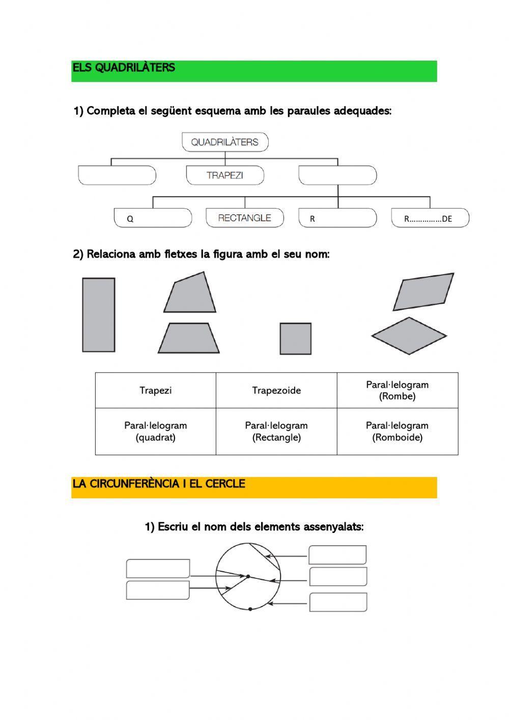 Els quadrilàters i la circumferència