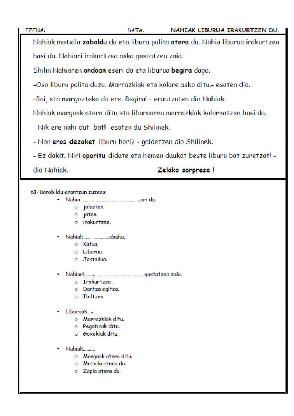 Irakurketa4 Irakurketa4