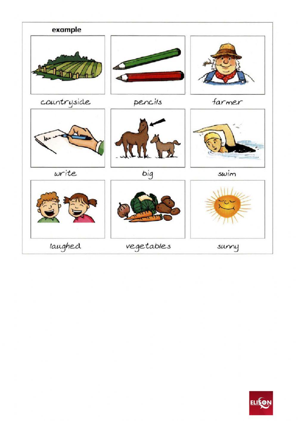 8.1 - movers - reading practice