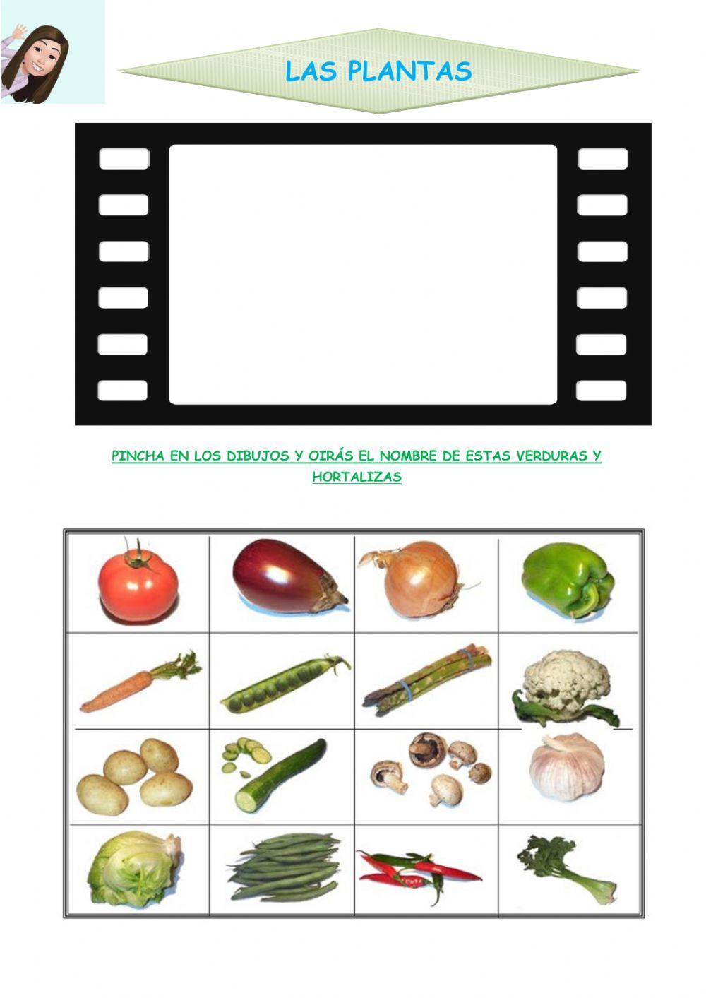 Las plantas. verduras y hortalizas