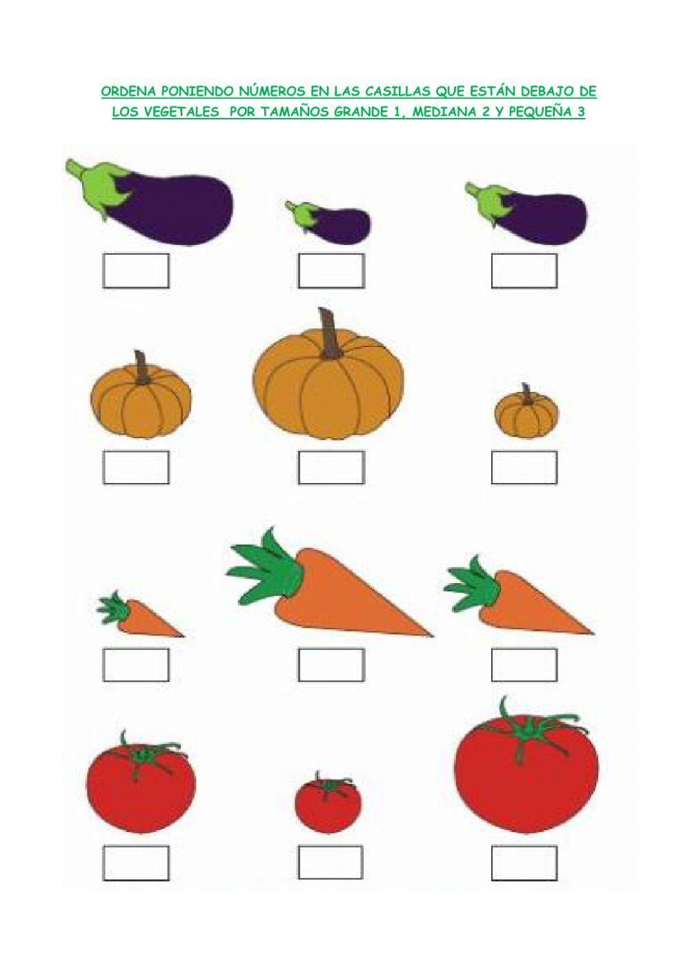 Las plantas. verduras y hortalizas