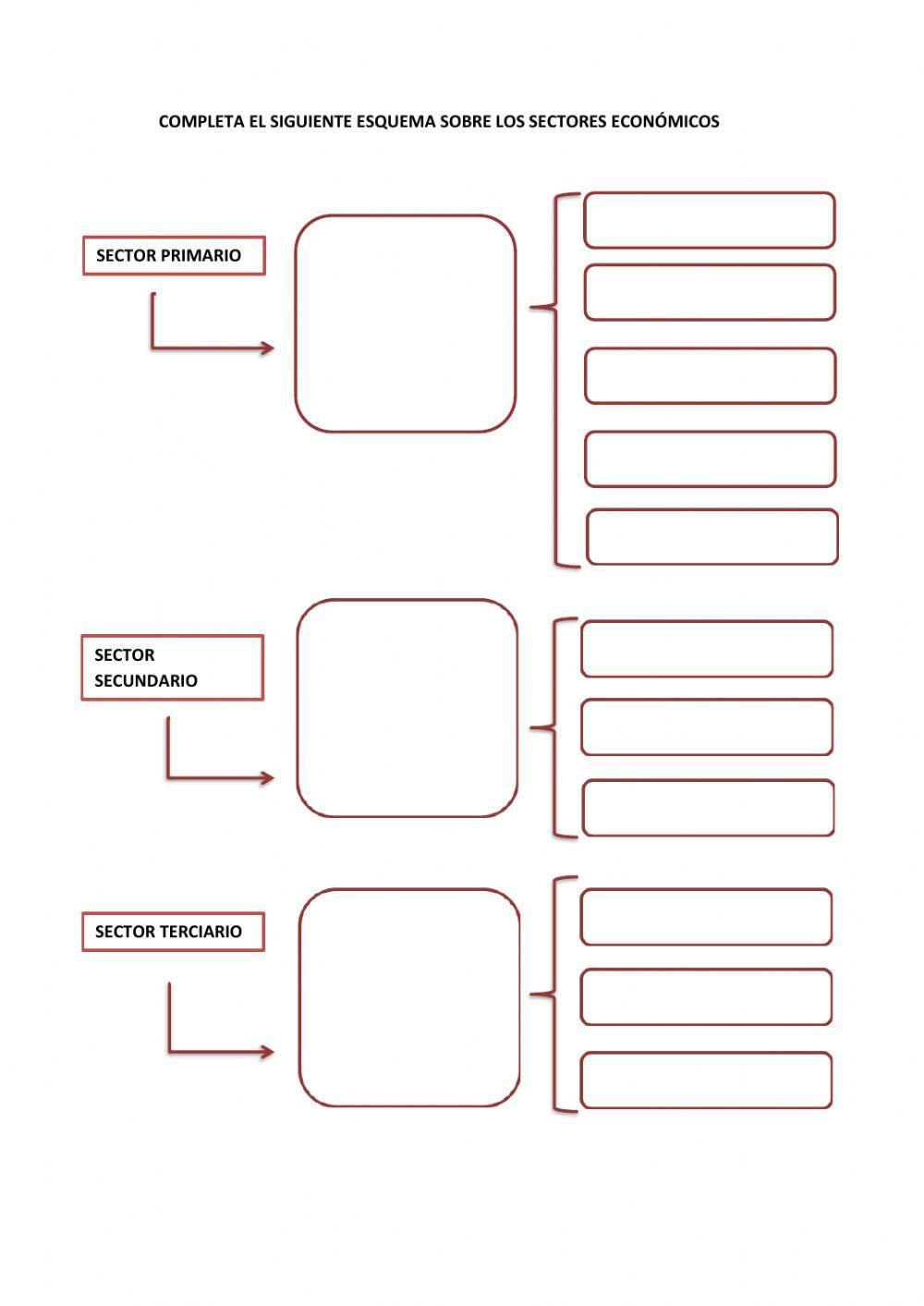 ESQUEMA Sectores Económicos