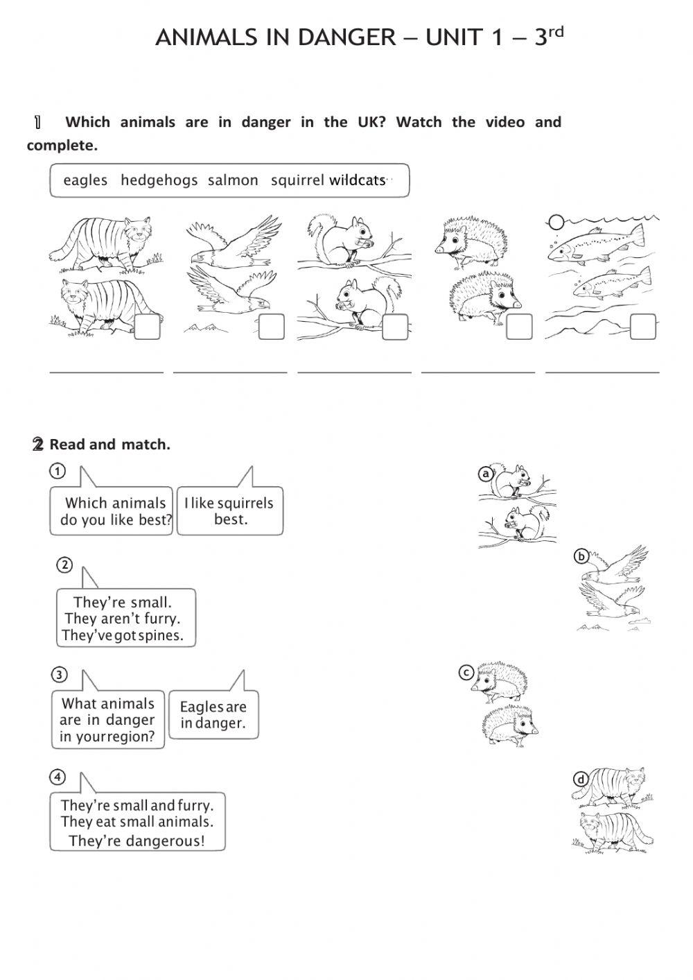 3rd Primary - Review Unit 1