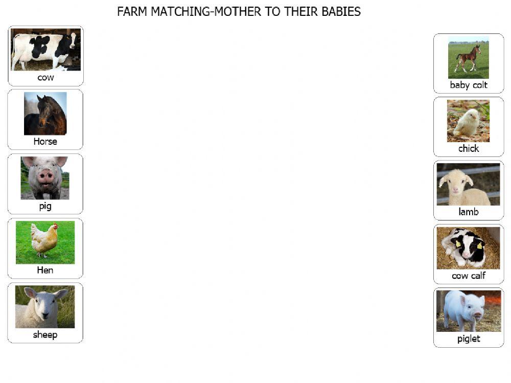 Farm Matching - Mother to their Babies