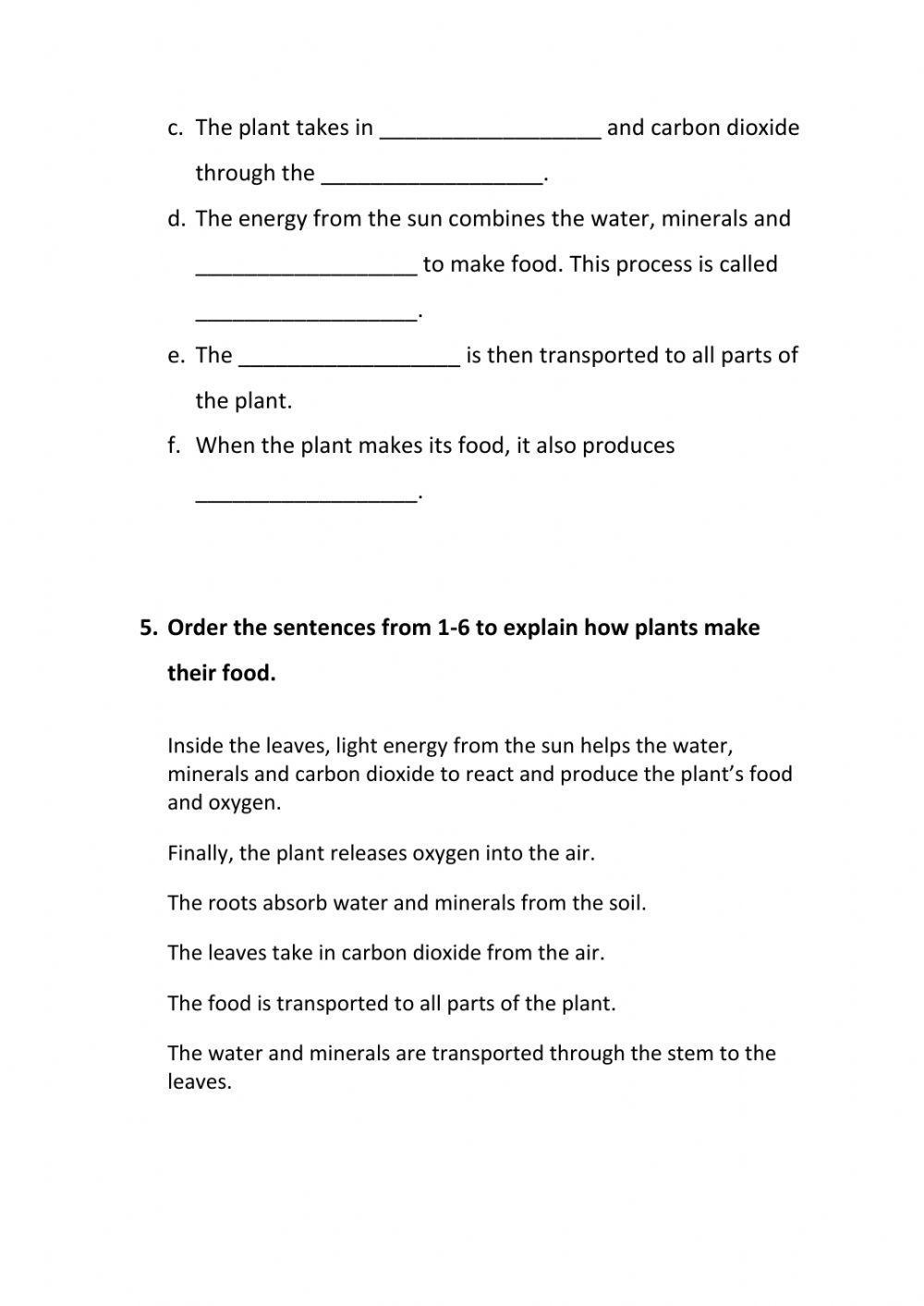 3rd grade naturales unit 4