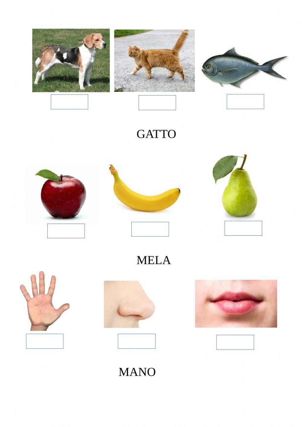 abbinamento parole immagini 2