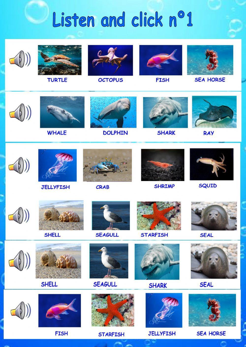 Listen and click SEA ANIMALS