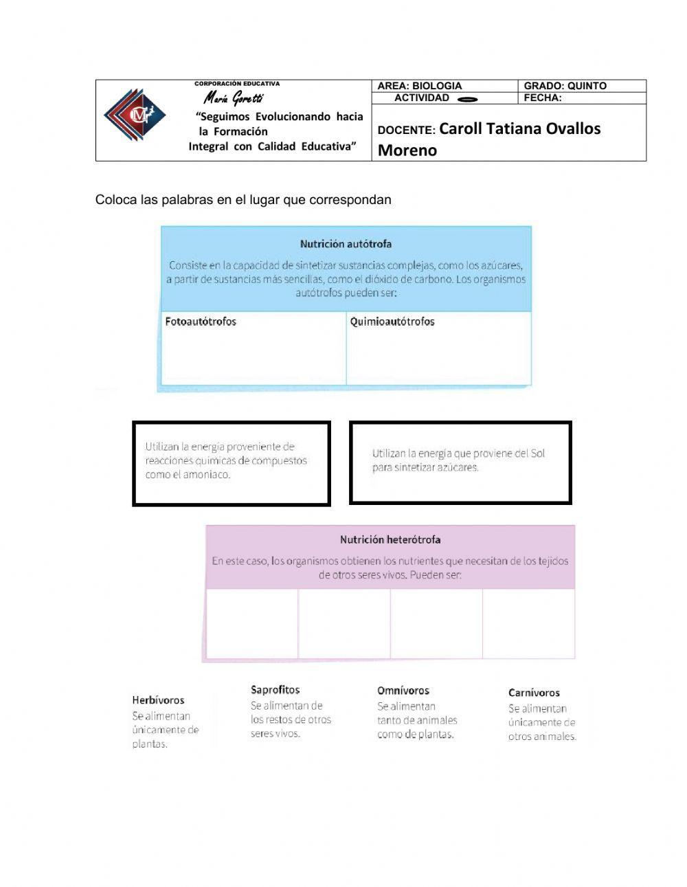 Funciòn de nutriciòn celular