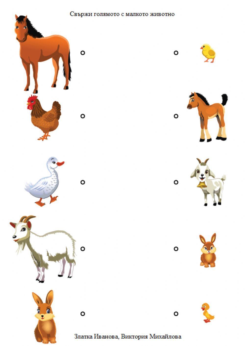 Свържи голямото с малкото животно