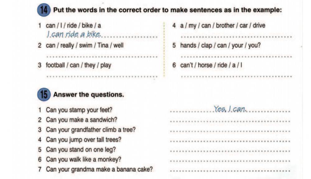 CAN - jumbled sentences