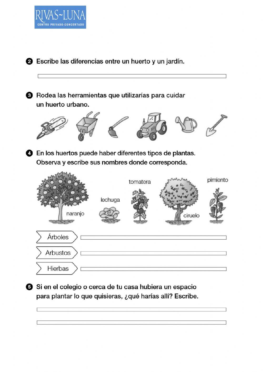 Comprensión lectora naturales