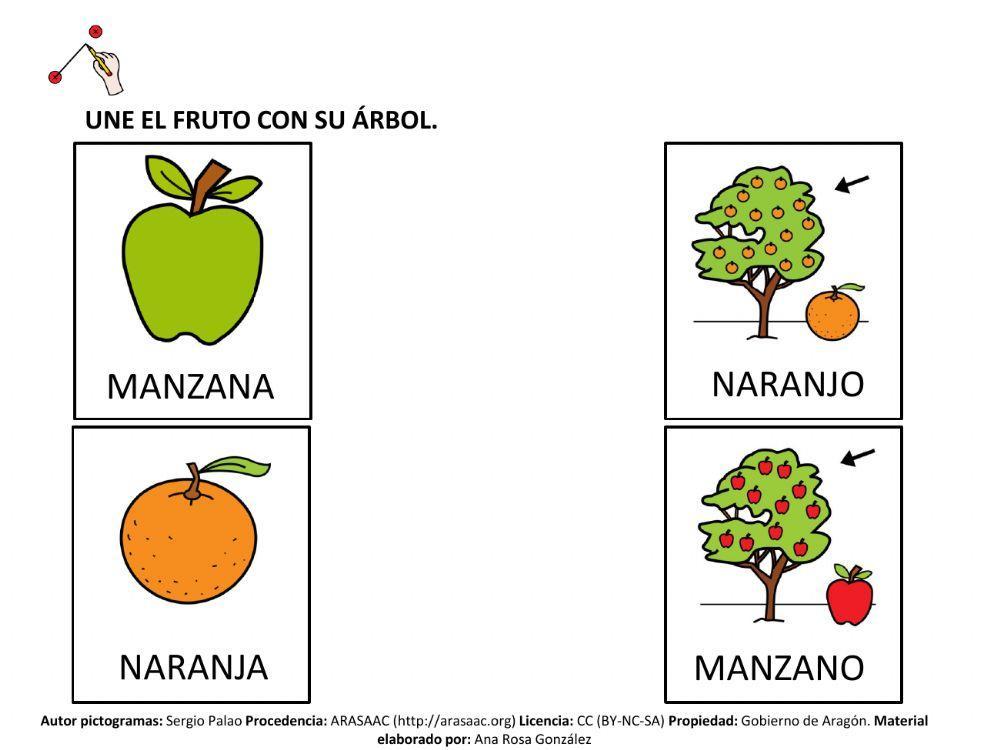 Une fruto y árbol