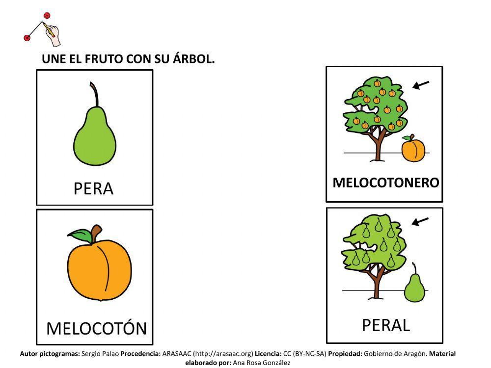Une fruto y árbol