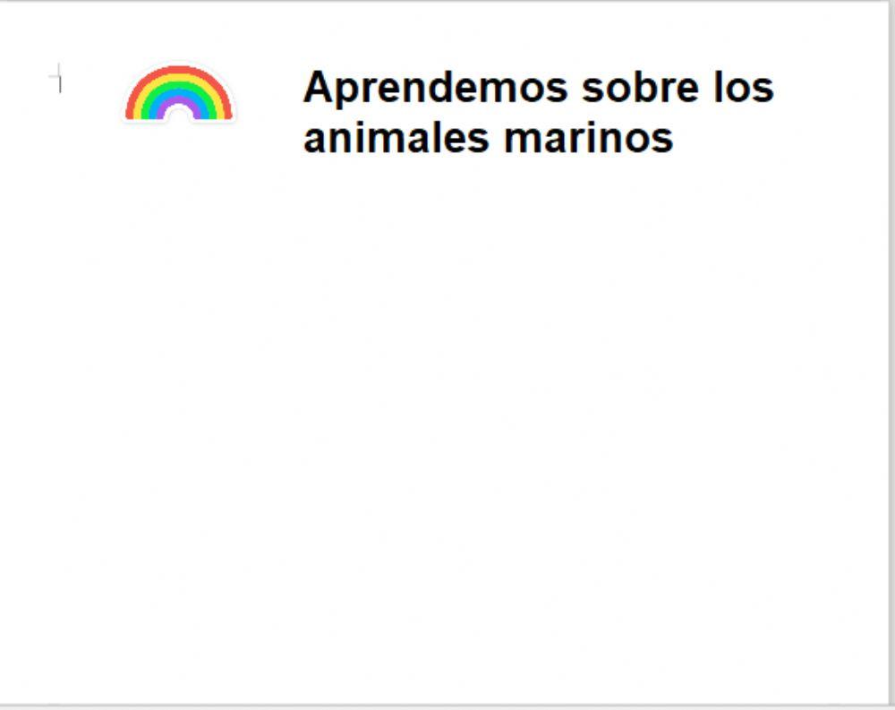 Video animales marinos