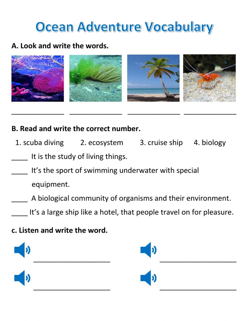 Ocean Adventure Worksheet Live Worksheets