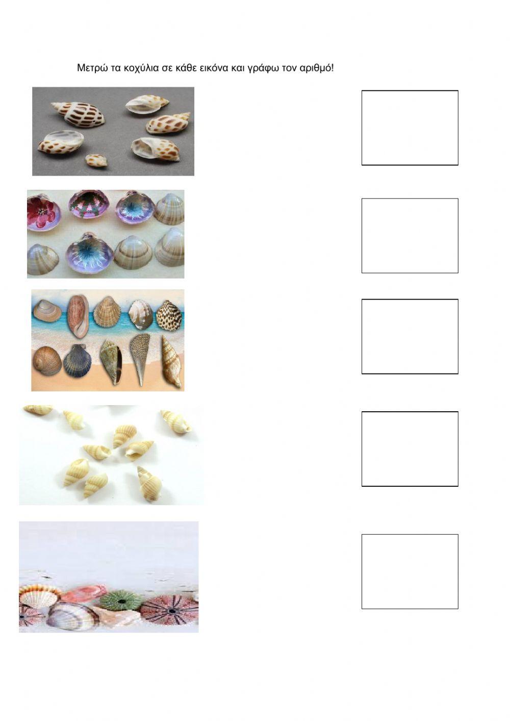 Μετρώ τα κοχύλια και συμπληρώνω τον αριθμό