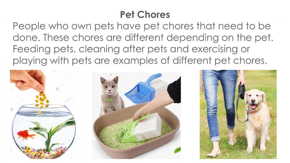 Pet Chores - Fish