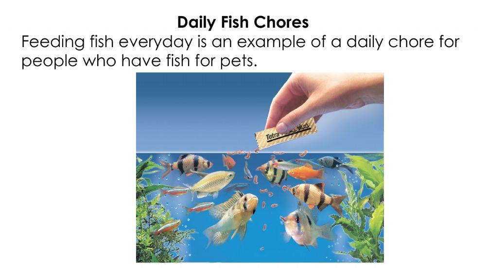Pet Chores - Fish