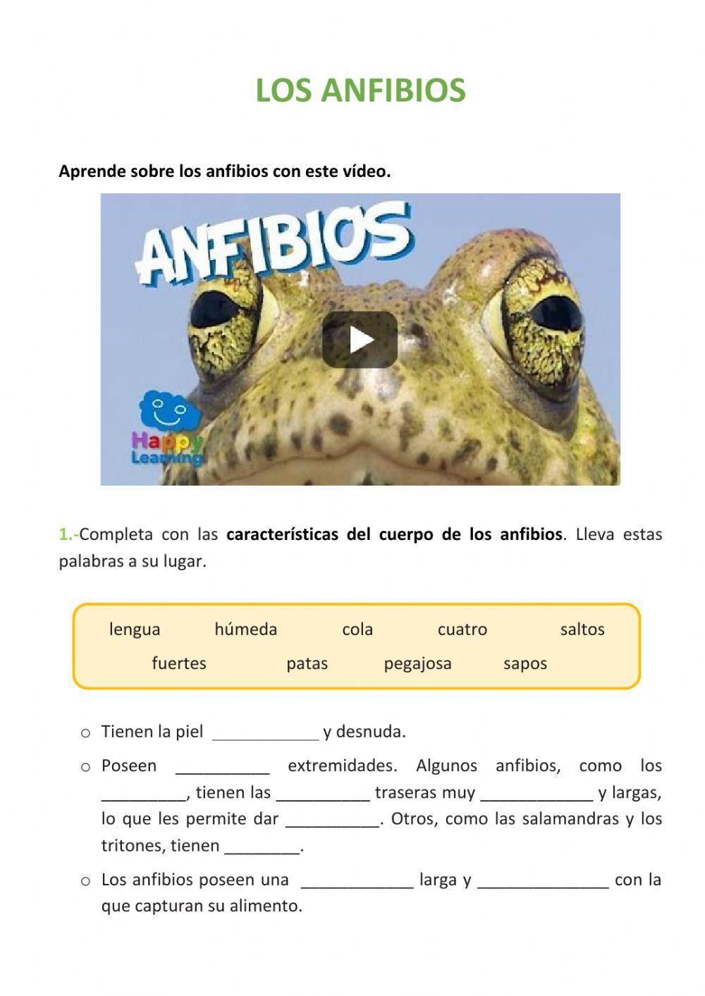 Los anfibios Los anfibios