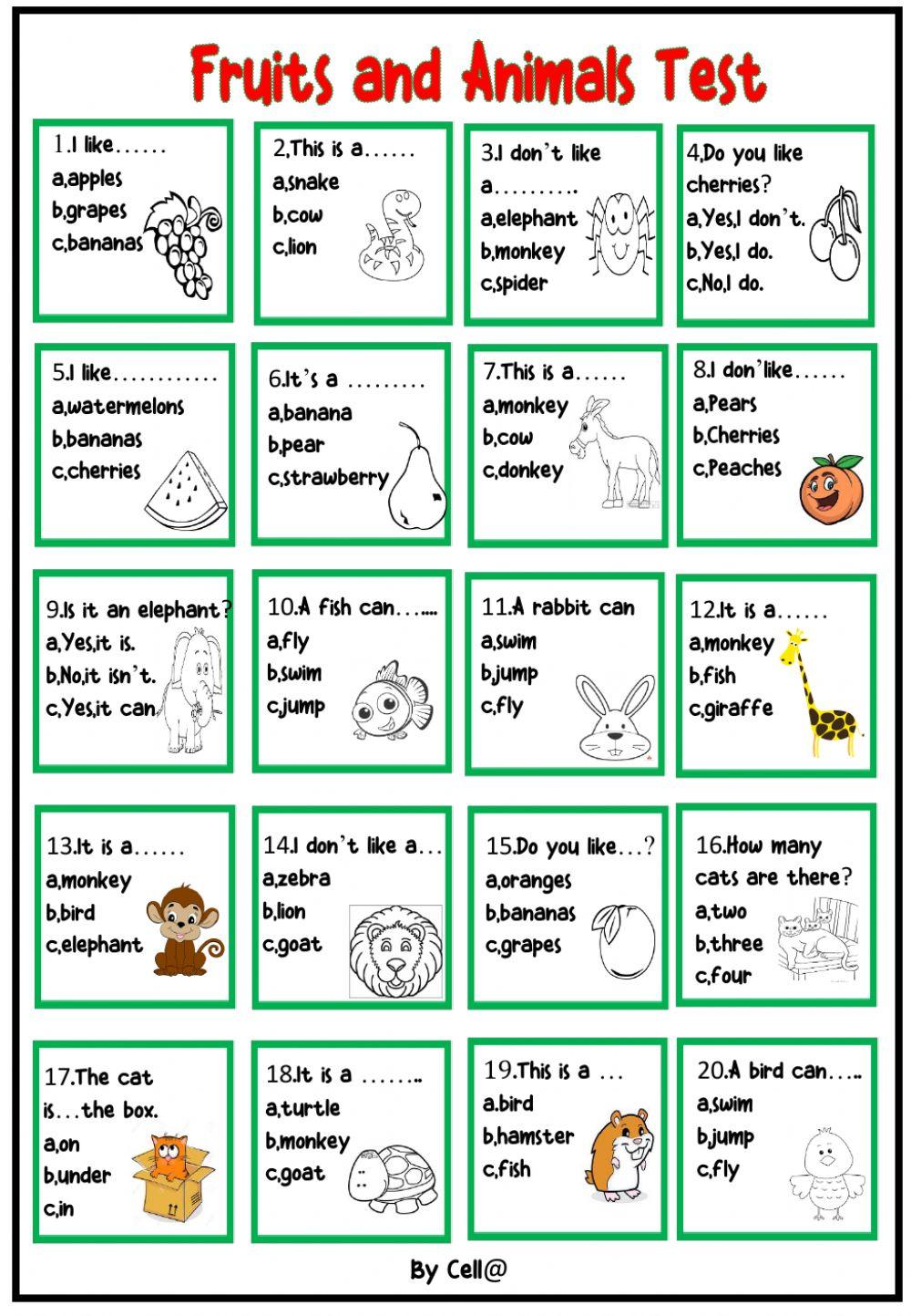Fruits and Animals Test