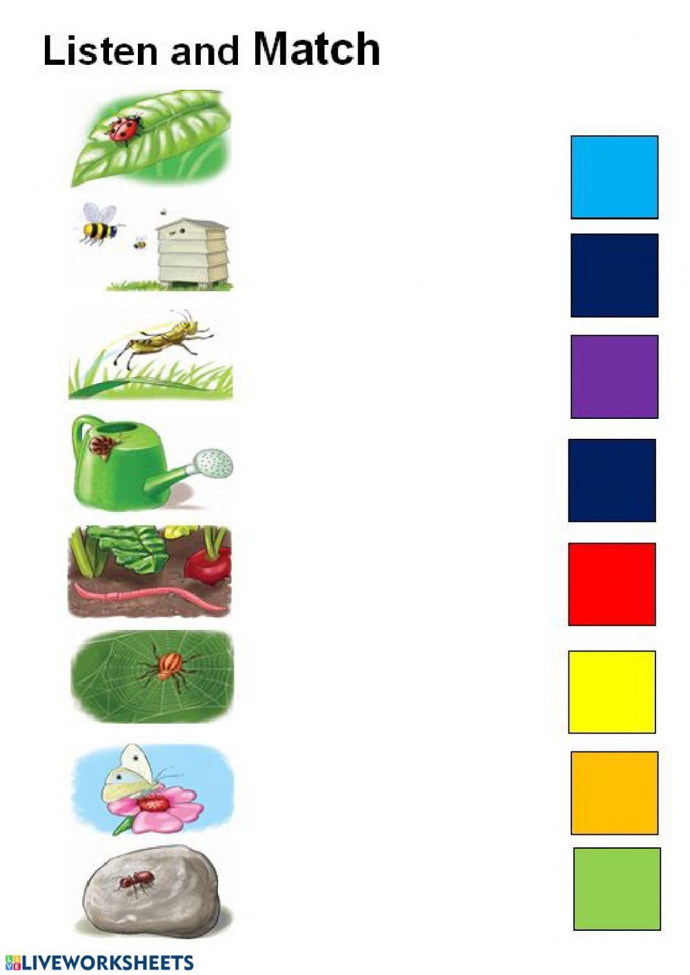 At the garden. Diferent activities At the garden. Diferent activities