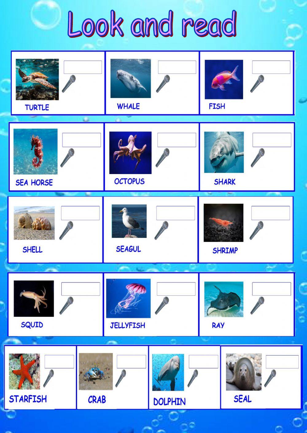 Look and read. Sea animals