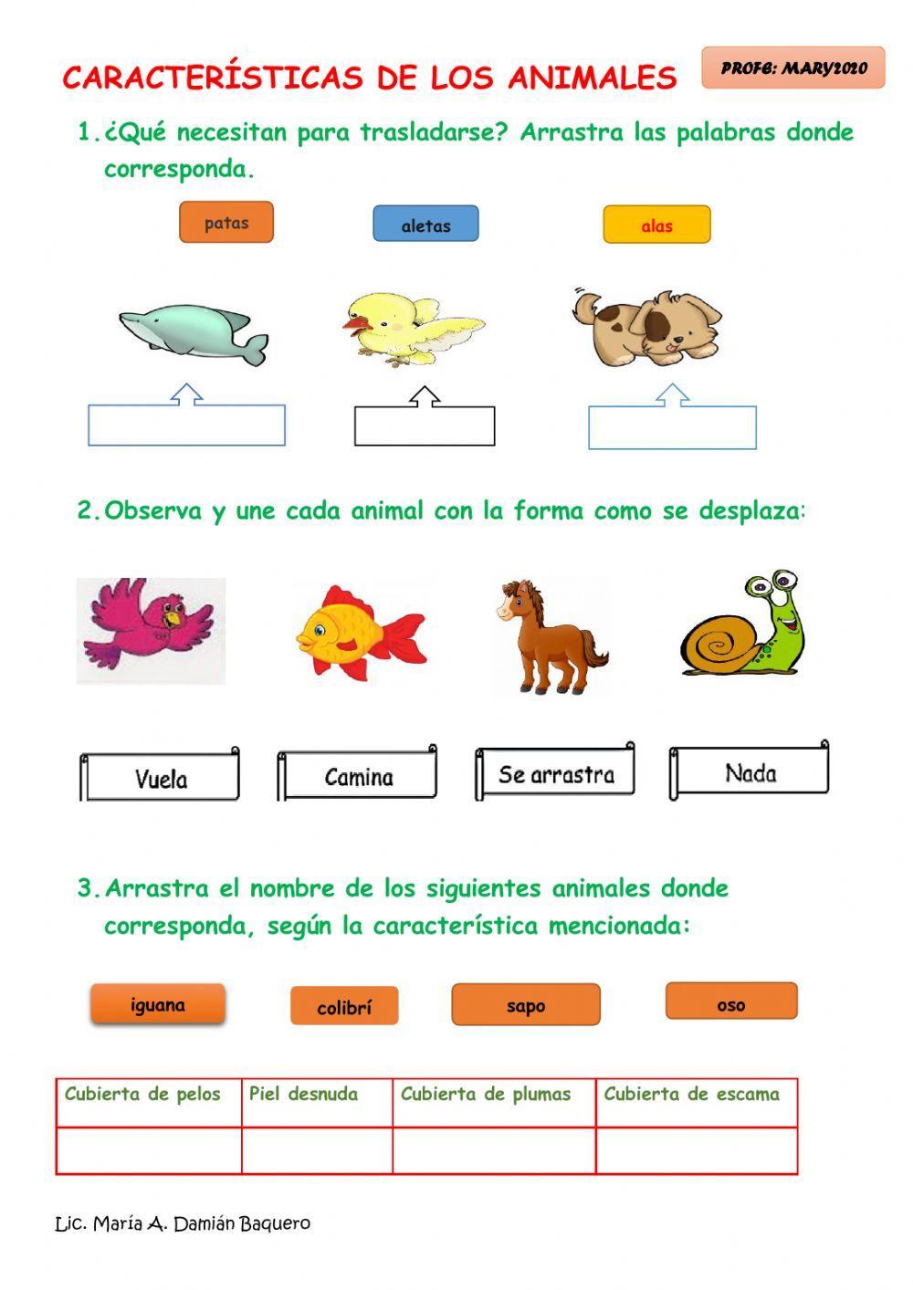 Características de los animales 1