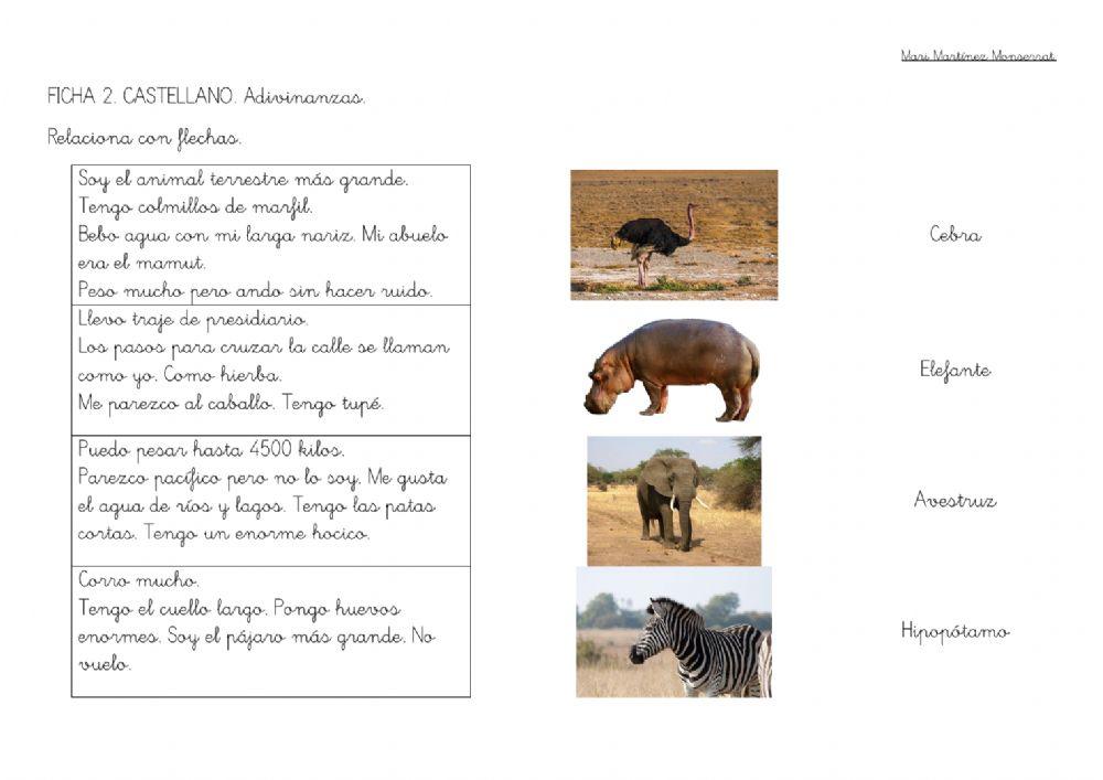 Adivinanzas animales