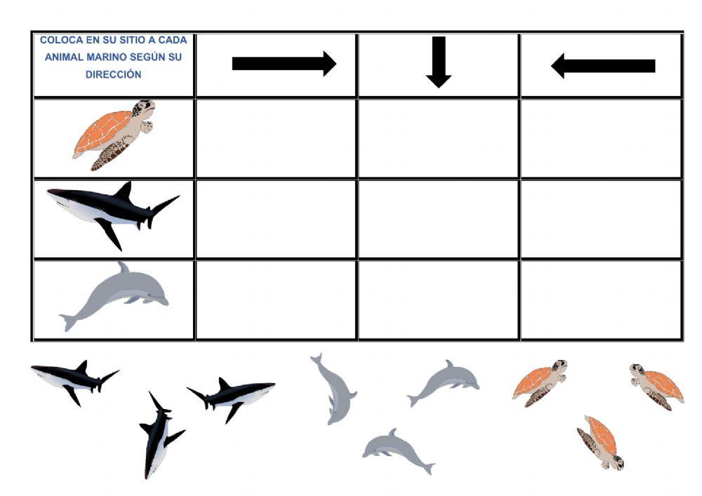 Razonamiento lógico matemático