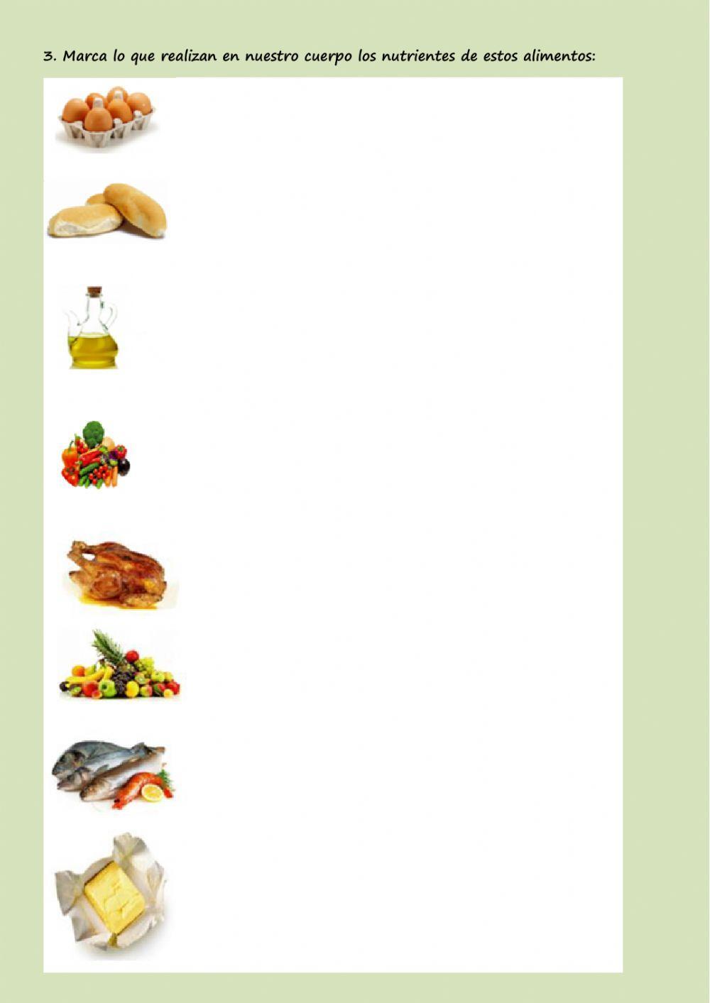 Tema 4. Los alimentos y los nutrientes