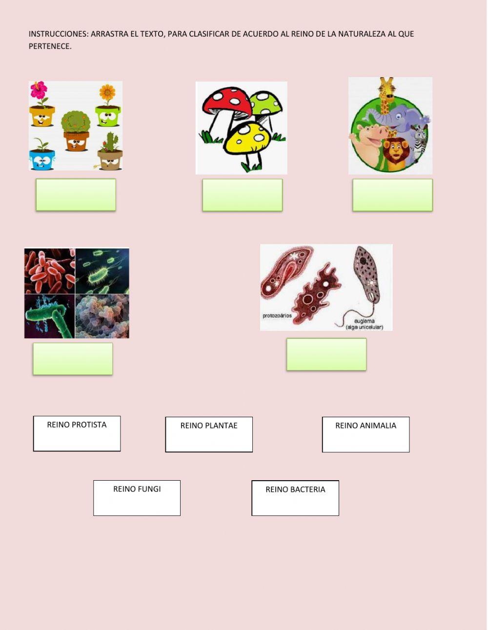 Los reinos de la naturaleza