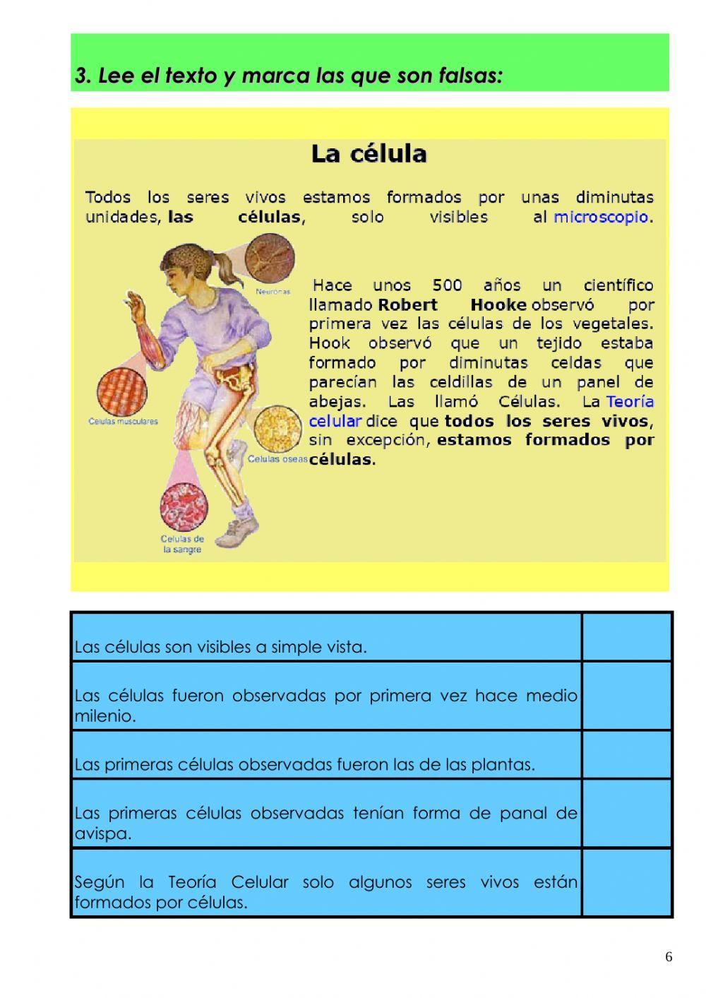 Comprensión Escrita Prueba 1 PT3