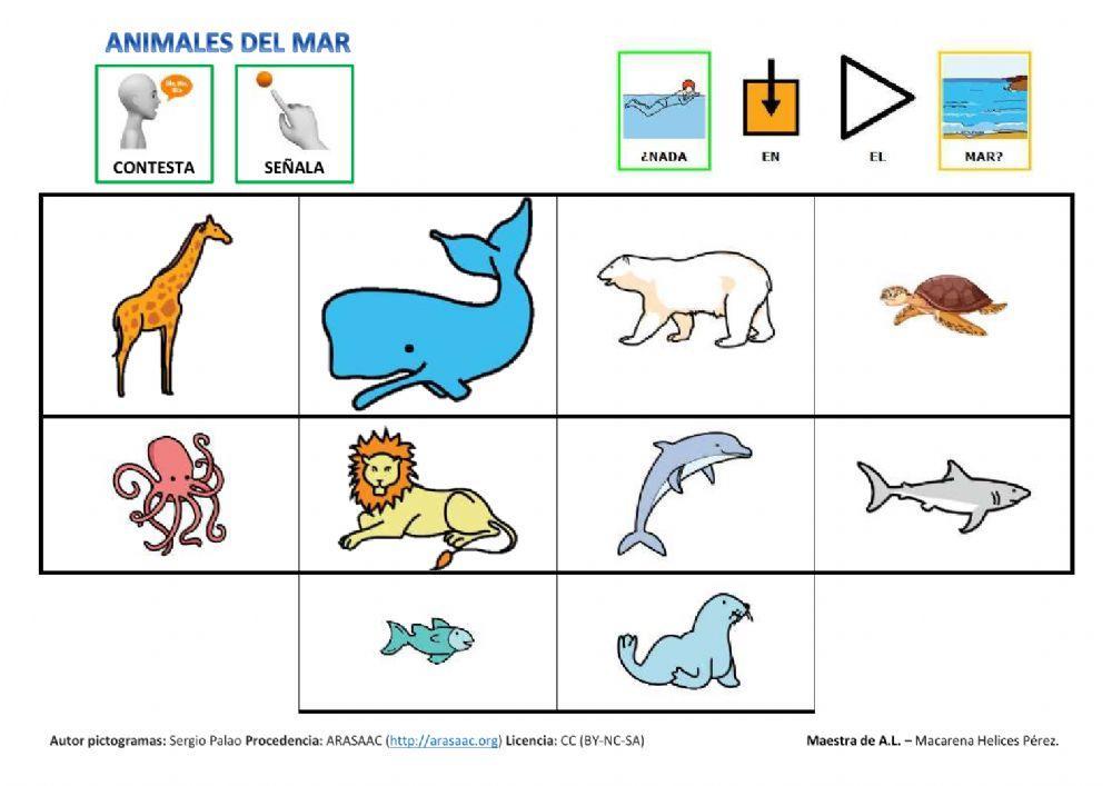Identifica animales del mar