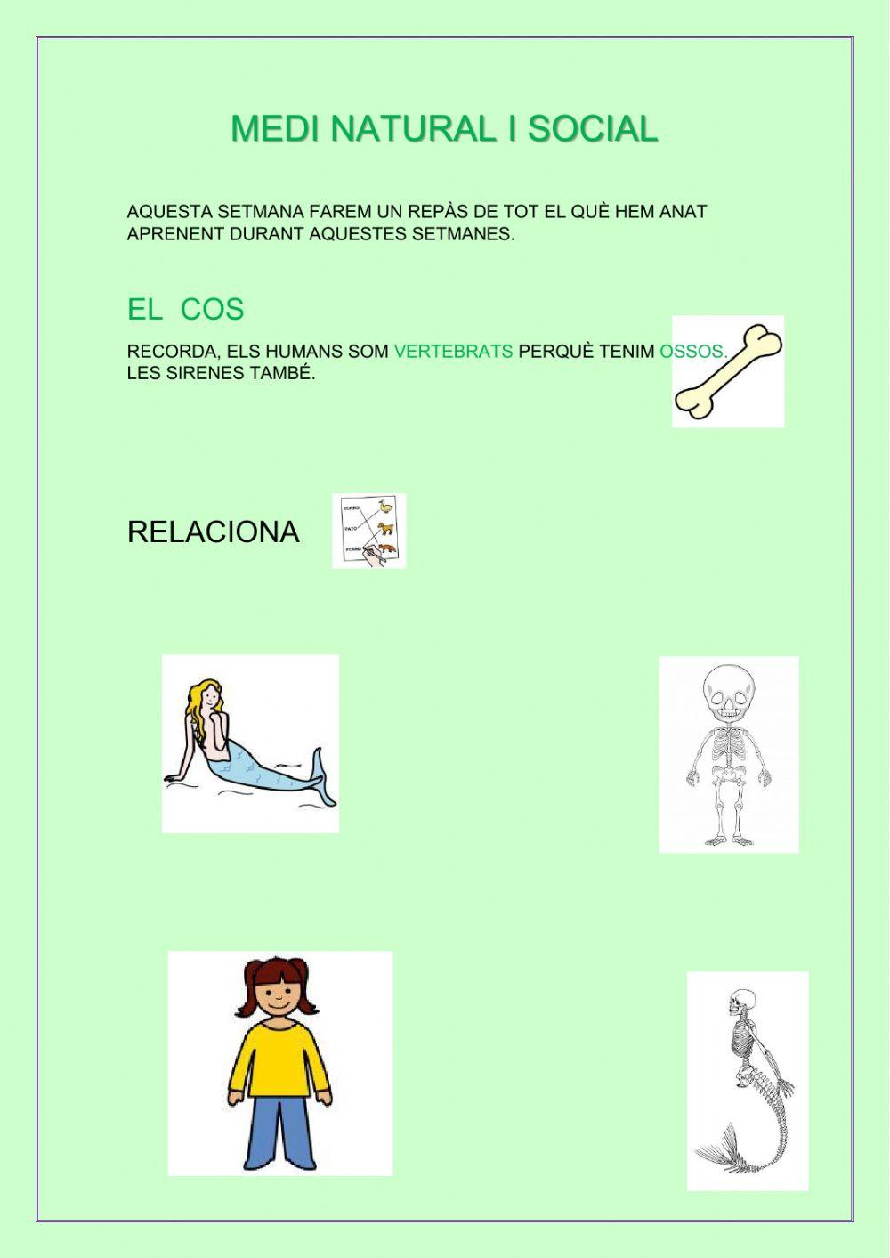 Medi natural i social